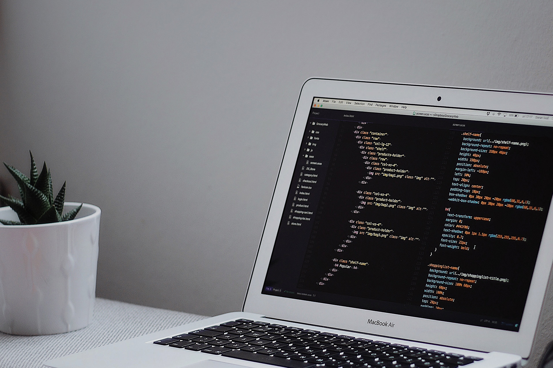 Web Development